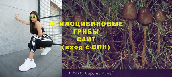 не бодяженный Аркадак