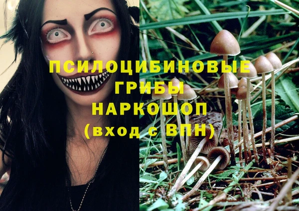 не бодяженный Аркадак