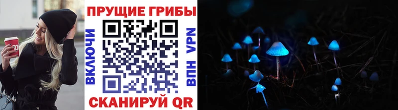 Псилоцибиновые грибы ЛСД  blacksprut вход  Зима 